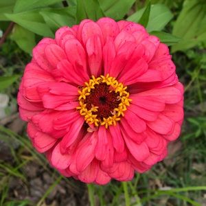 Meet your Posher, Erica